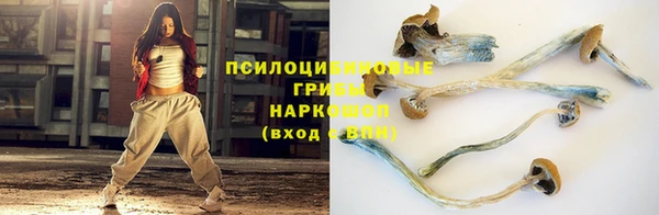 PSILOCYBIN Армянск