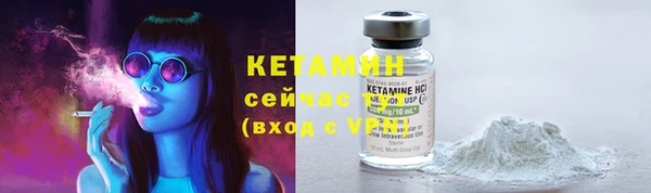 крисы Арсеньев