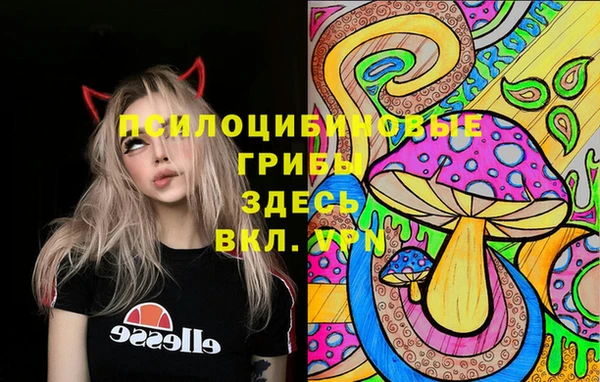 крисы Арсеньев