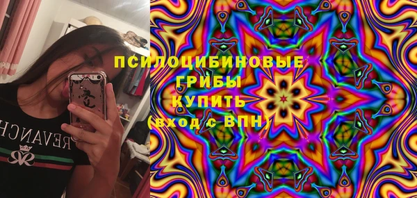 крисы Арсеньев