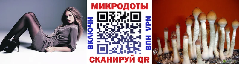 Псилоцибиновые грибы ЛСД  Борисоглебск 