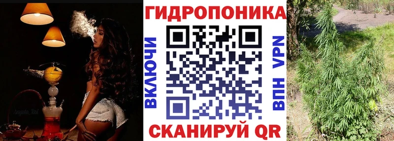 blacksprut вход  Борисоглебск  Бошки марихуана конопля  наркота 